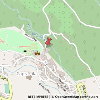 Mappa Via Fontanavecchia, 22, 01030 Caprarola, Viterbo (Lazio)