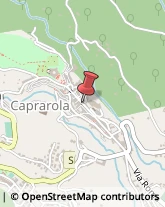 Via Filippo Nicolai, 53,01032Caprarola