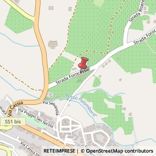 Mappa Strada Forocassio, 43, 01019 Vetralla, Viterbo (Lazio)