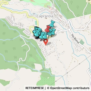 Mappa Via Gino Ricci, 01032 Caprarola VT, Italia (0.31333)