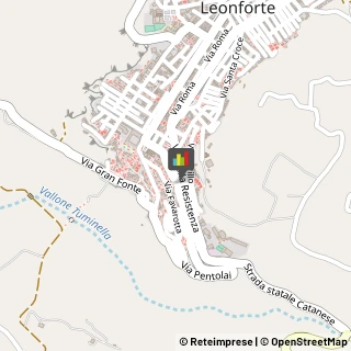 Pelletterie - Dettaglio Leonforte,94013Enna