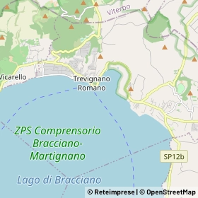 Mappa Trevignano Romano