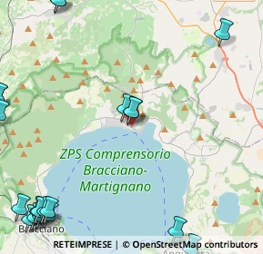Mappa Via Roma, 00069 Trevignano Romano RM, Italia (7.3405)
