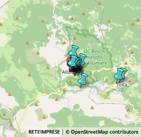 Mappa Via IV Novembre, 00051 Allumiere RM, Italia (0.6105)