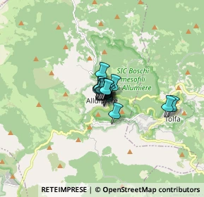 Mappa Via Teodolfo Mertel, 00051 Allumiere RM, Italia (0.5225)