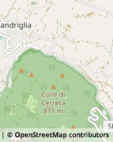 Scuole e Corsi per Corrispondenza e Teledidattica Rieti,02100Rieti