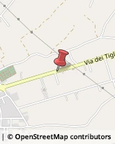 Viale dei Tigli, 66,66021Casalbordino