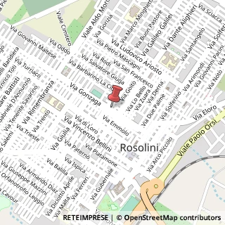 Mappa Via Gonzaga, 84, 96019 Rosolini, Siracusa (Sicilia)