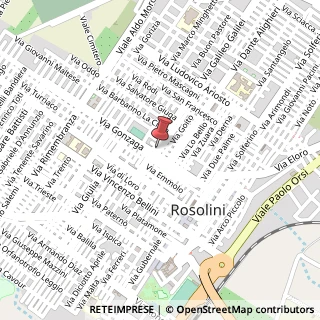 Mappa Via Galileo Galilei, 74, 96019 Rosolini, Siracusa (Sicilia)