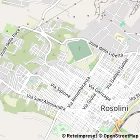 Mappa 96019