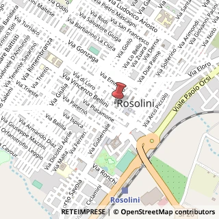 Mappa Via Calatafimi, 55, 96019 Rosolini, Siracusa (Sicilia)
