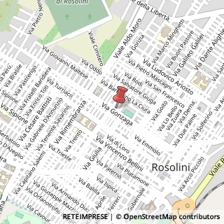 Mappa Via Gonzaga, 144, 96019 Rosolini, Siracusa (Sicilia)