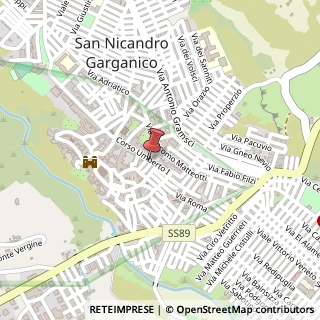 Mappa Corso Umberto I, 37, 71015 San Nicandro Garganico, Foggia (Puglia)