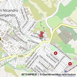 Mappa Via Livio Andronico, 75, 71015 San Nicandro Garganico, Foggia (Puglia)