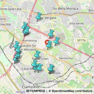 Mappa Via di Tor Vergata, 00178 Roma RM, Italia (2.4605)
