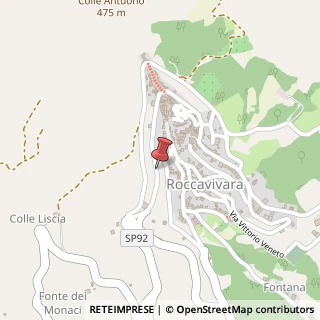 Mappa Via vittorio veneto, 86020 Roccavivara, Campobasso (Molise)