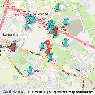 Mappa Via di Tor Vergata, 00173 Roma RM, Italia (1.0485)