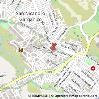 Mappa Via della Libertà, 2, 71015 San Nicandro Garganico FG, Italia, 71015 San Nicandro Garganico, Foggia (Puglia)