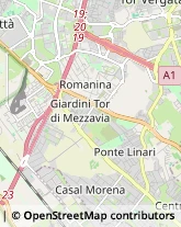 Feste - Organizzazione e Servizi Roma,00173Roma