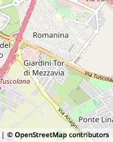 Feste - Organizzazione e Servizi Roma,00118Roma