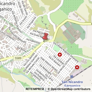 Mappa Largo Domenico Fioritto, 9, 71015 San Nicandro Garganico, Foggia (Puglia)