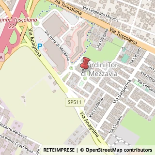 Mappa Via Riccardo Billi, 11, 00173 Roma, Roma (Lazio)