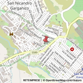 Mappa Via Baracche, 22, 71015 San Nicandro Garganico, Foggia (Puglia)