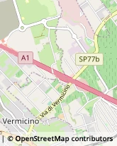 Via Vittorio Rossi, 39,00133Roma