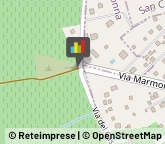 Aziende Agricole,00030Roma