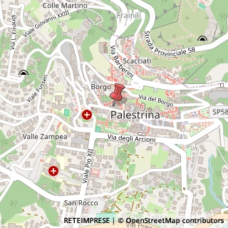 Mappa Piazza Gregorio Pantanelli, 10, 00036 Palestrina, Roma (Lazio)