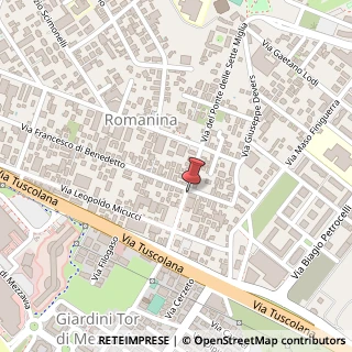 Mappa Via del Ponte delle Sette Miglia, 50, 00173 Roma, Roma (Lazio)