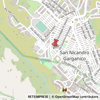 Mappa Via Adriatico, 80, 71015 San Nicandro Garganico, Foggia (Puglia)