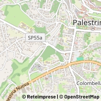 Map Palestrina