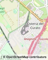 Via Nettunense, 71/A,00047Marino