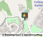 Gioiellerie e Oreficerie - Ingrosso Colonna,00030Roma