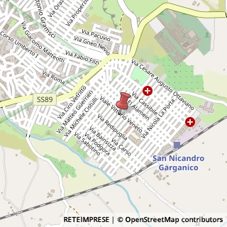 Mappa Viale Vittorio Veneto, 90, 71015 San Nicandro Garganico FG, Italia, 71015 San Nicandro Garganico, Foggia (Puglia)