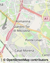 Infermieri ed Assistenza Domiciliare Roma,00118Roma