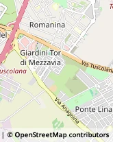 Infermieri ed Assistenza Domiciliare Roma,00118Roma