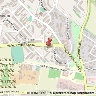Mappa Viale Erminio Spalla, 41, 00142 Roma, Roma (Lazio)