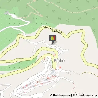 Animali Domestici - Centri Allevamento e Addestramento Piglio,03010Frosinone