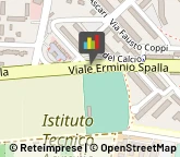 Frutta e Verdura - Dettaglio,00142Roma