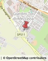 Via Gasperina, 57,00118Roma