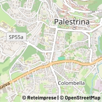 Kort Palestrina