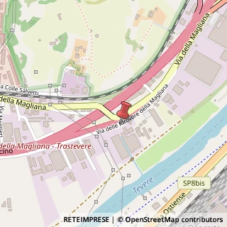 Mappa Via delle Idrovore della Magliana, 21, 00144 Roma, Roma (Lazio)