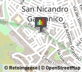 Autoscuole San Nicandro Garganico,71015Foggia