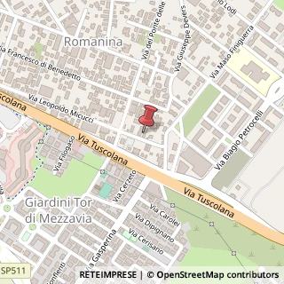 Mappa Via Leopoldo Micucci, 145, 00173 Roma, Roma (Lazio)