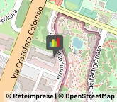 Nolo Marittimo - Mediatori,00144Roma
