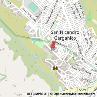 Mappa Corso Giuseppe Garibaldi, 48, 71015 San Nicandro Garganico, Foggia (Puglia)