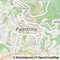 Kort Palestrina