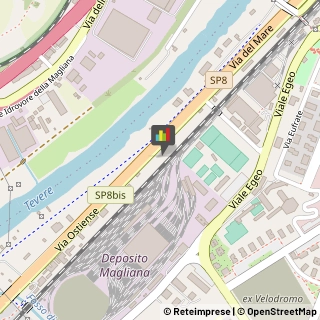 Animali Domestici - Centri Allevamento e Addestramento,00144Roma